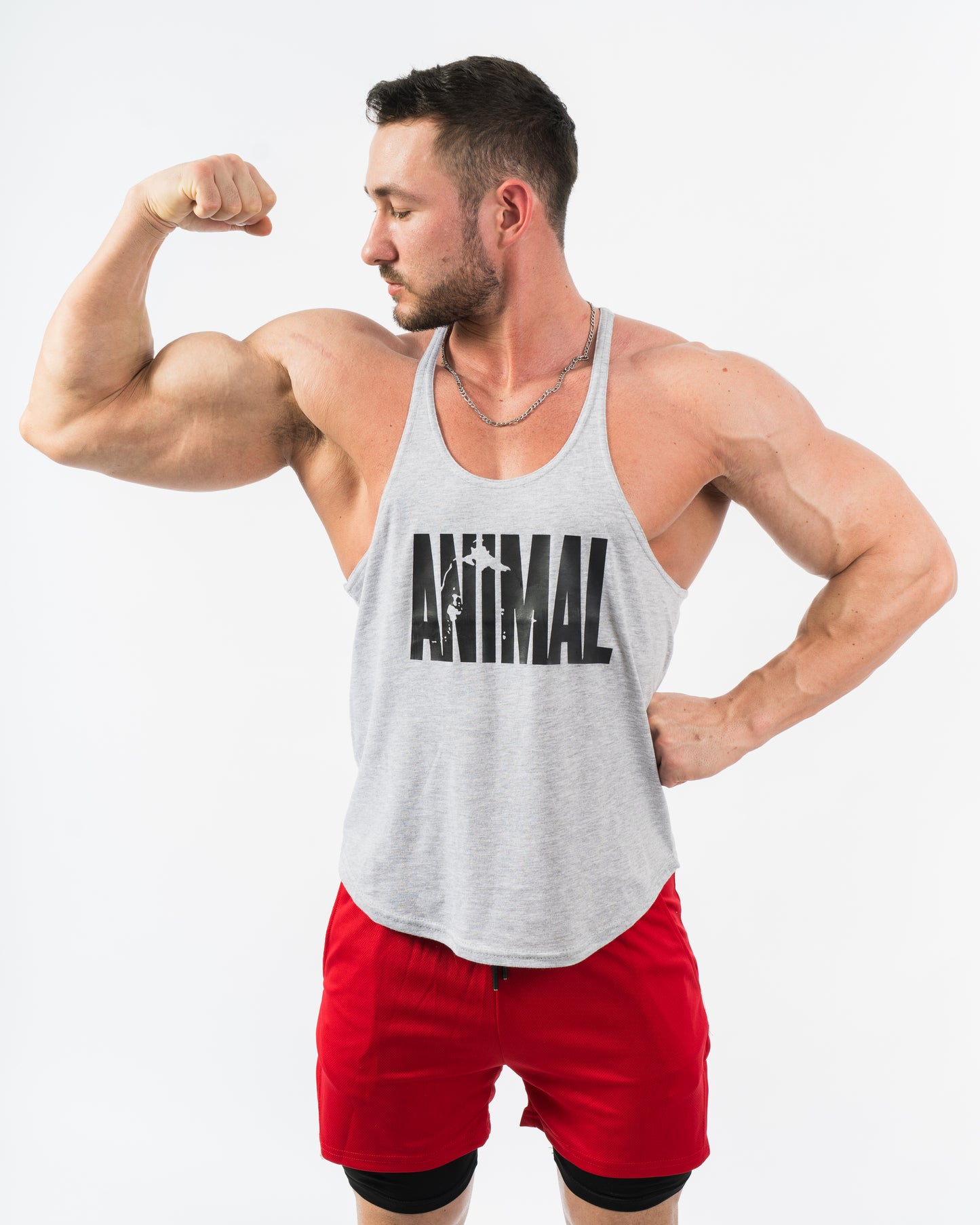 Maiou ANIMAL