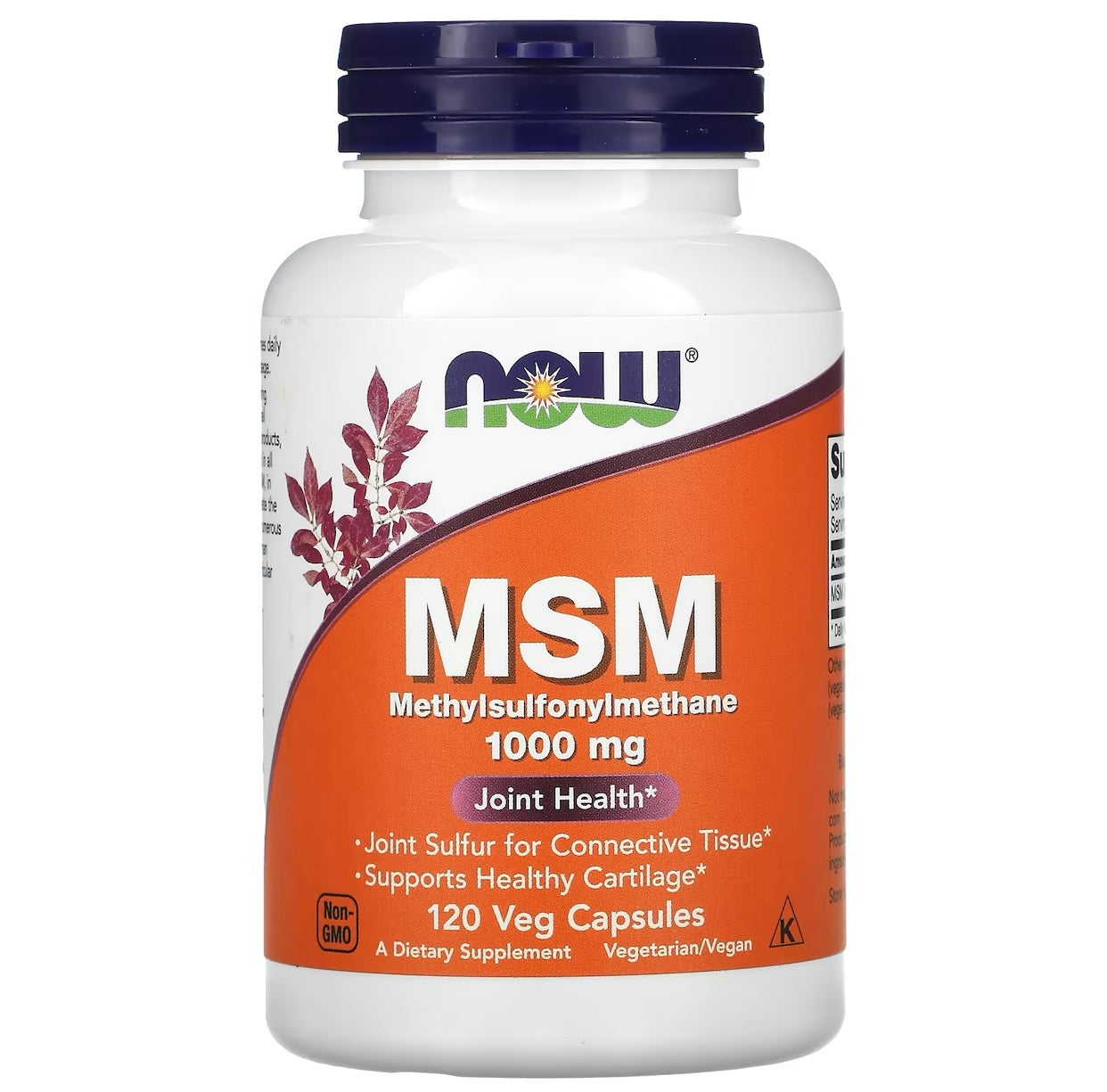 MSM 120 capsule - Now