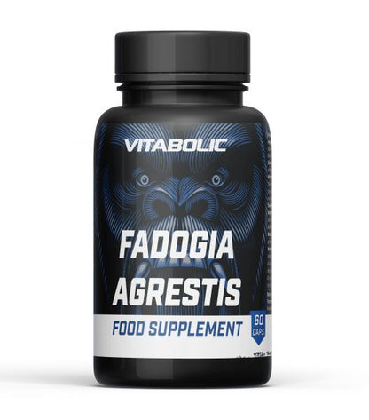 Fadogia agrestis 60 caps Vitabolic
