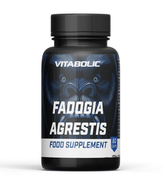 Fadogia agrestis 60 caps Vitabolic