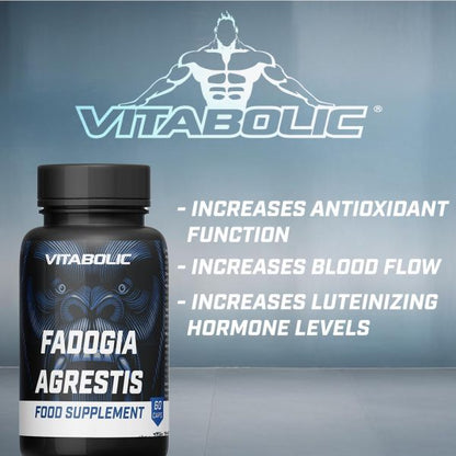 Fadogia agrestis 60 caps Vitabolic